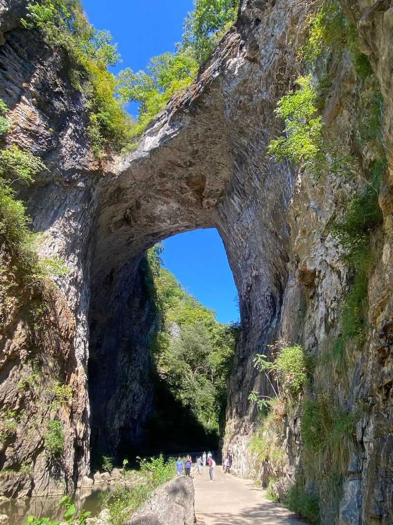 Cedar Creek Trail To Lace Falls, Natural Bridge