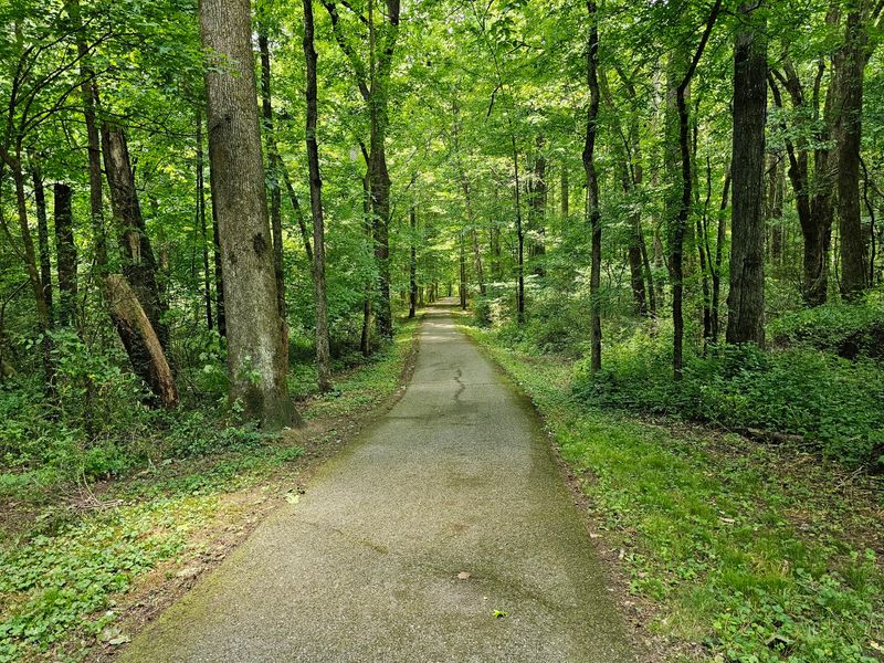 Volunteer Trail Loop At Cove Lake State Park, Caryville