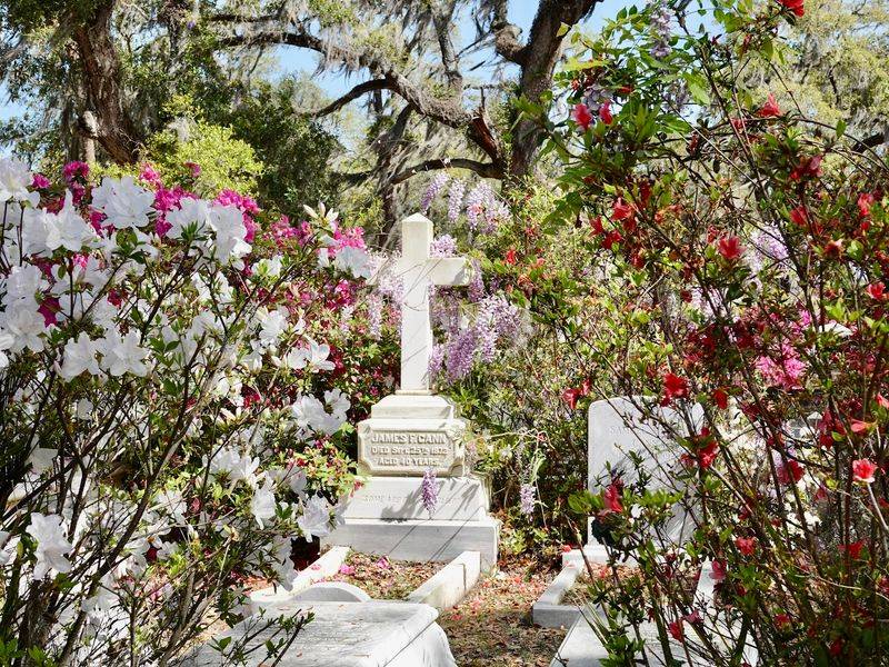 Spring Azaleas Turn The Grounds Technicolor
