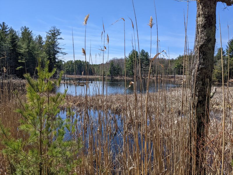 This Connecticut Border Town Packs Historic Streets, Wooded Trails And Old Industrial Charm Into One Small Escape - Decor Hint Wooded Trails Offer An Easy Escape