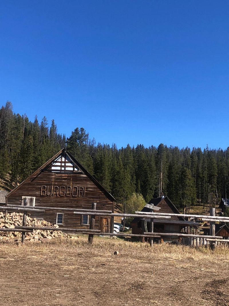 Burgdorf near McCall