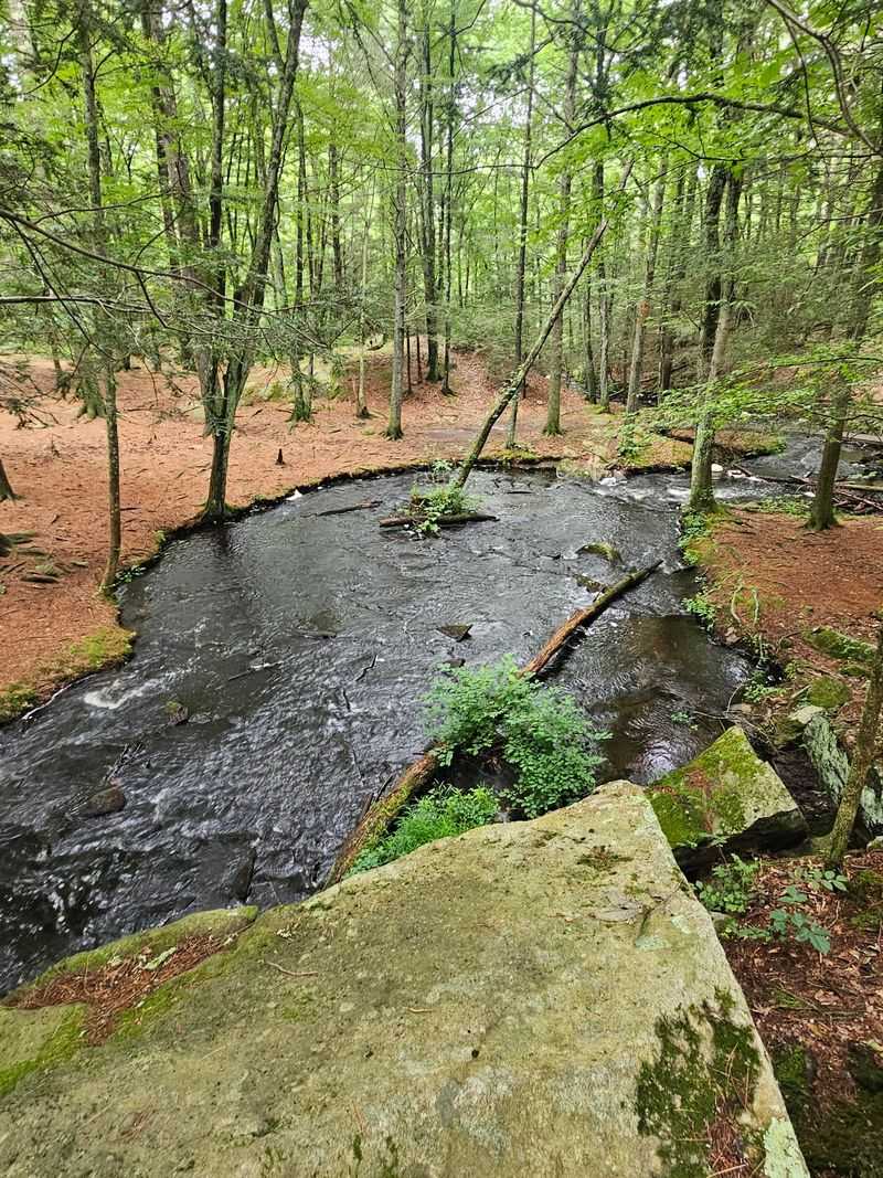 Mowry Conservation Area Trails, Smithfield
