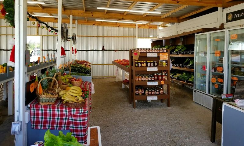 Farm Stand And Festival Breaks