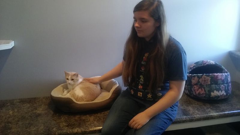 The Adoption Process Is Serious Business