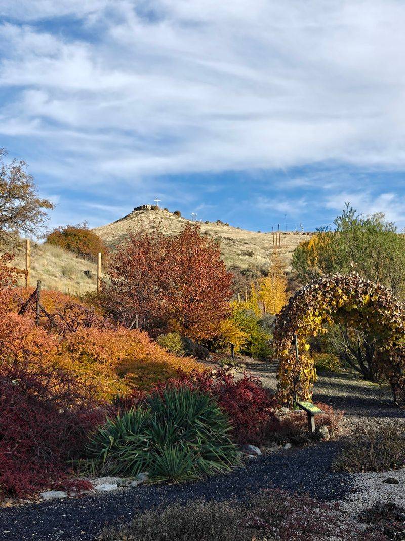 Plants That Stand Up To Wildfire