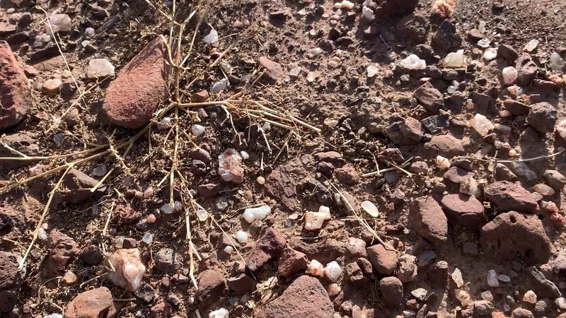 This Free Arizona Rockhounding Area Is A Treasure Hunt For Anyone Willing To Dig - Decor Hint Where The Colors Hide Best