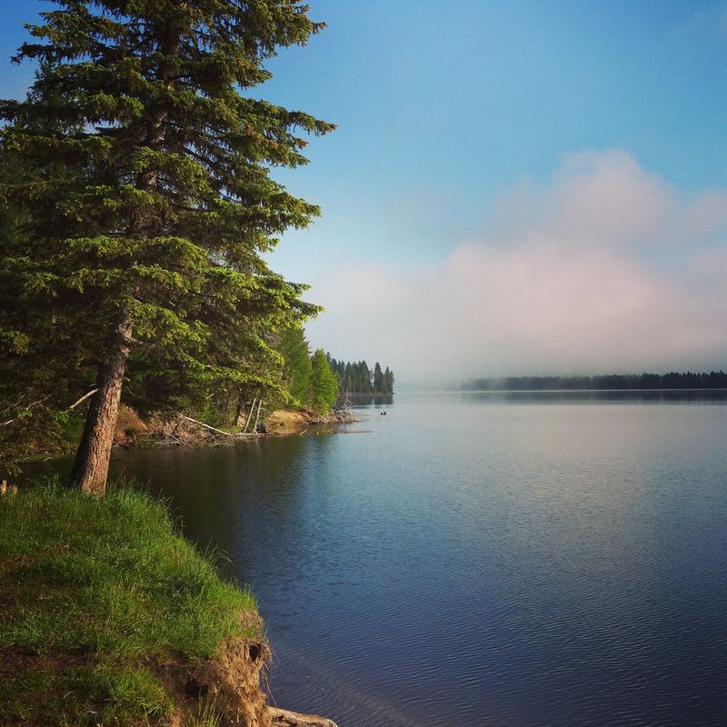 Huckleberry Campground In Donnelly