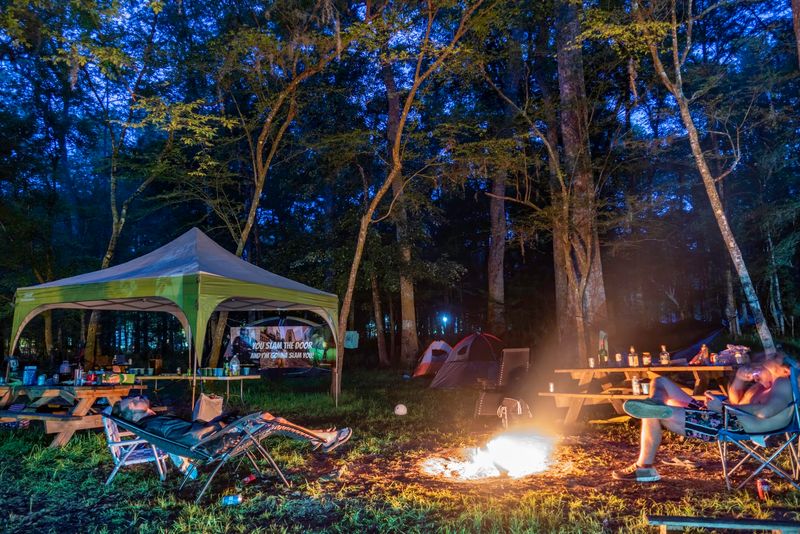 This Florida Campground Lets You Arrive And Grab A Primitive Site Without Reserving Ahead - Decor Hint Smart Timing And Easy Access