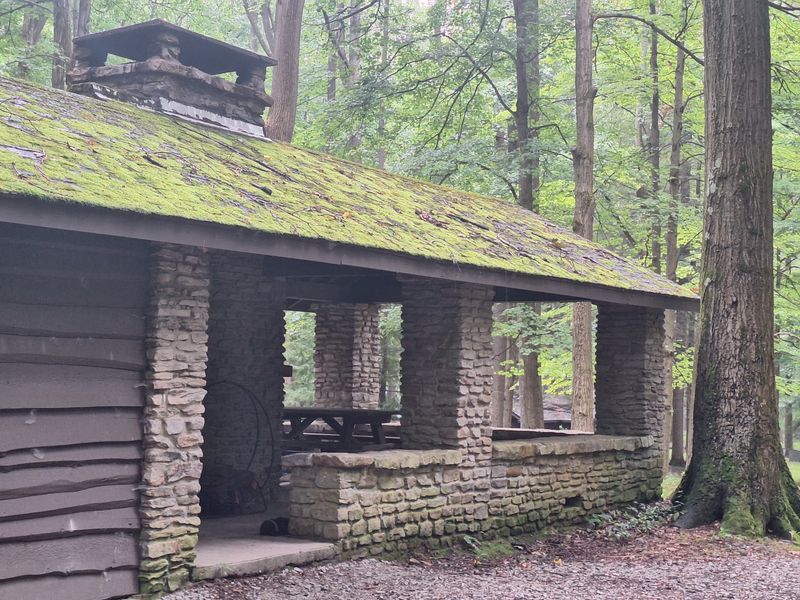Picnic Areas, Playgrounds, And A Spring Water Tap