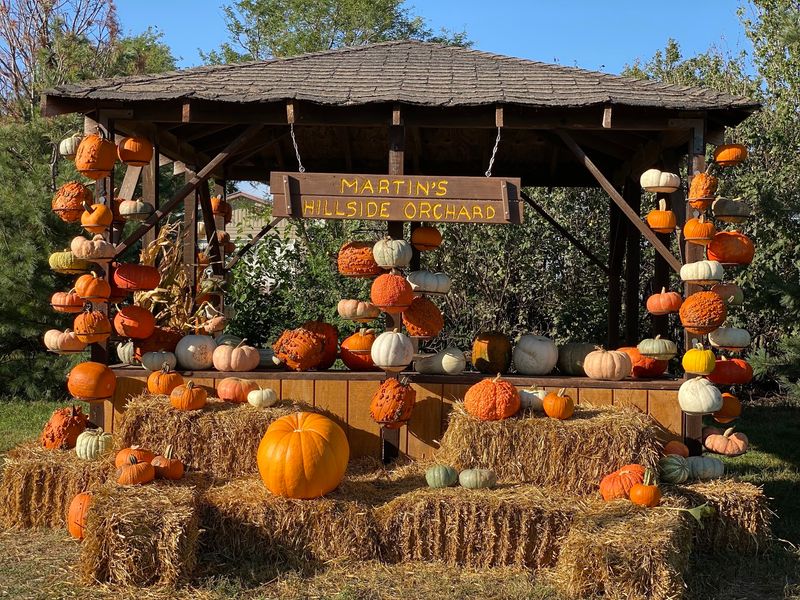 Martin's Hillside Orchard