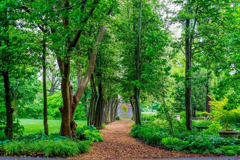 10 Kentucky Nature Playgrounds With Treehouses, Trails And Endless Adventure - Decor Hint Yew Dell Botanical Gardens