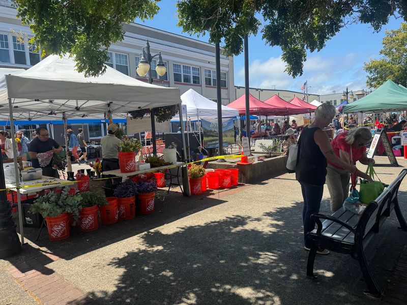 Coos Bay Farmers Market