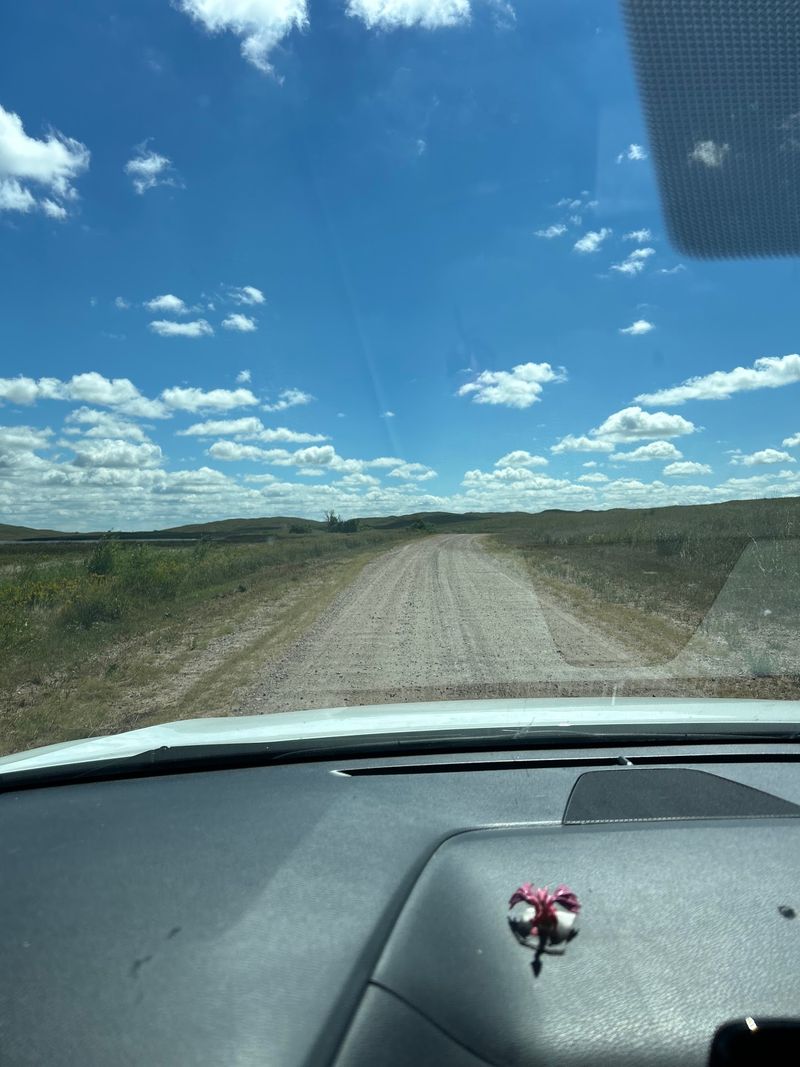 Where the Pavement Gives Up