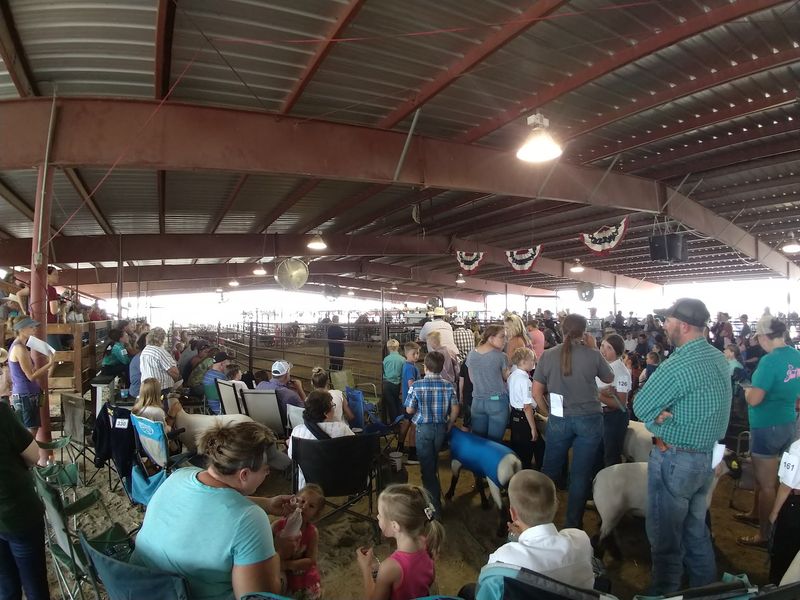 10 Idaho Rodeos So Wild They’re Worth Planning A Road Trip Around - Decor Hint Owyhee County Rodeo - Homedale