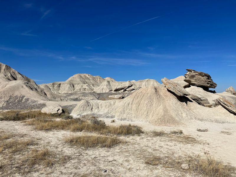 One Mile of Trail That Feels Like Another World