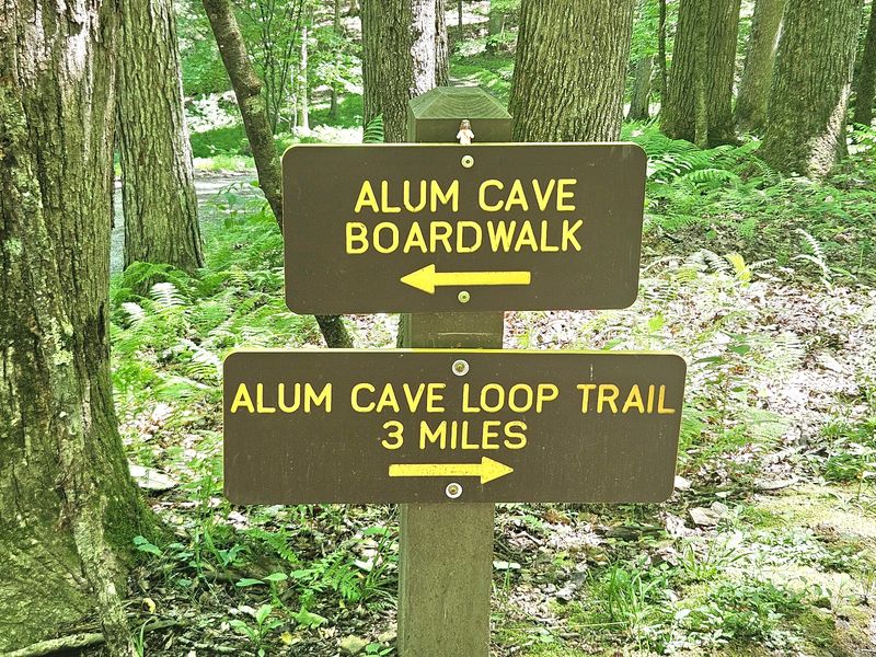 10 Must-Try West Virginia Hikes, Ranked From Gentle To Challenging - Decor Hint Alum Cave Trail, Buckhannon