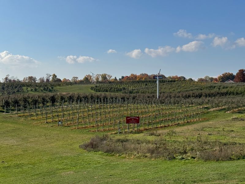 U-Pick Orchards, Hayrides, And A Corn Maze