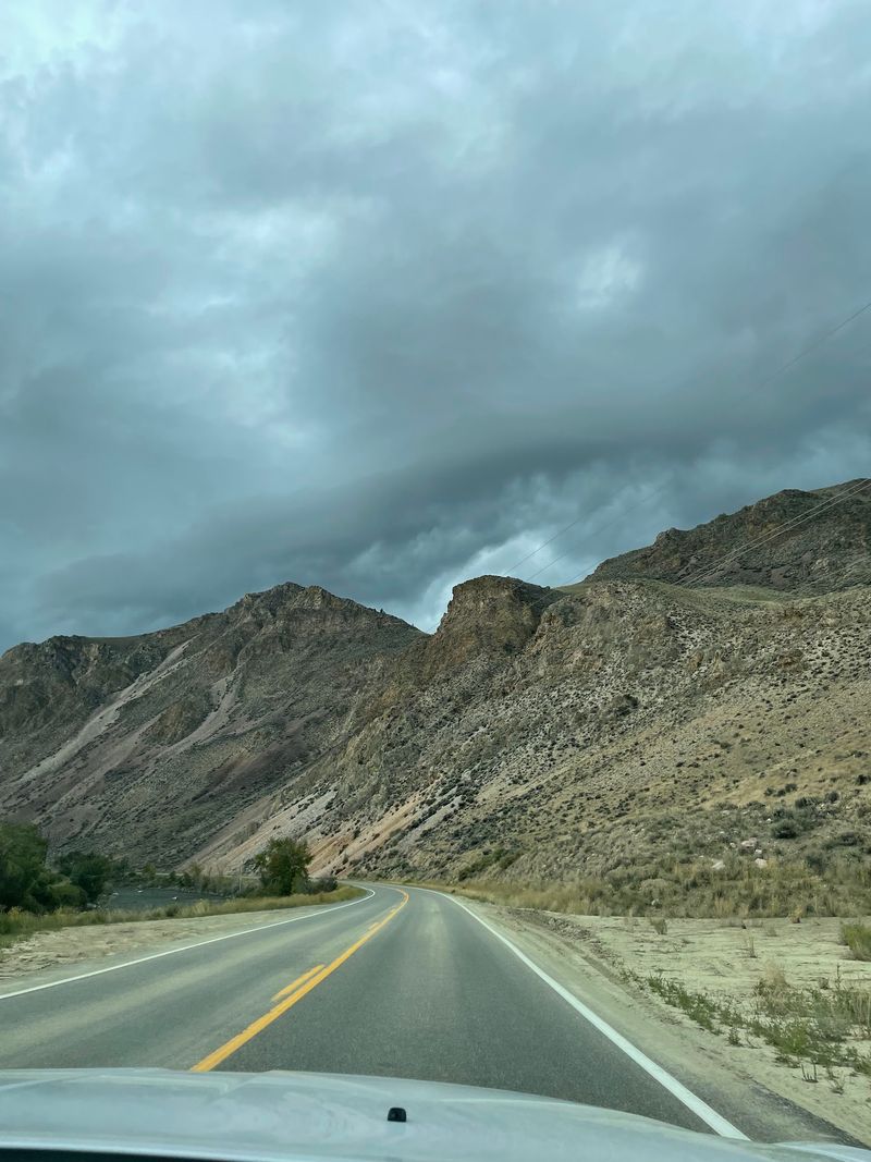 From Pine Forest To High Desert