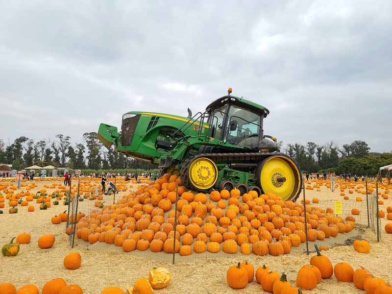 Lemmo's Grill + Underwood Family Farms, Moorpark