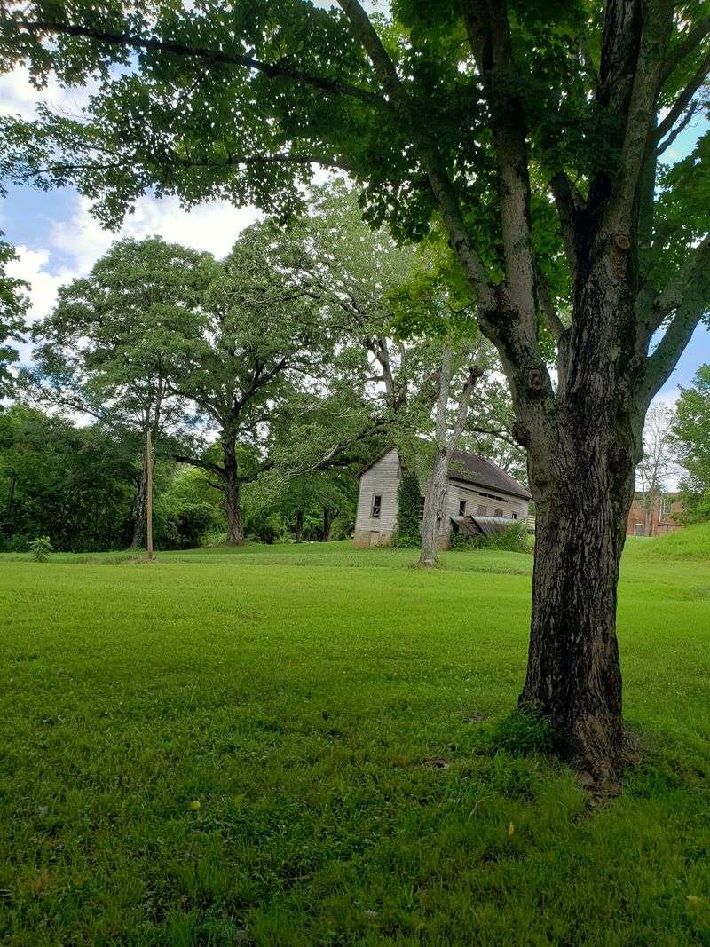 One Road Trip Can Take You From District 12 Straight Into The Arena Landscape