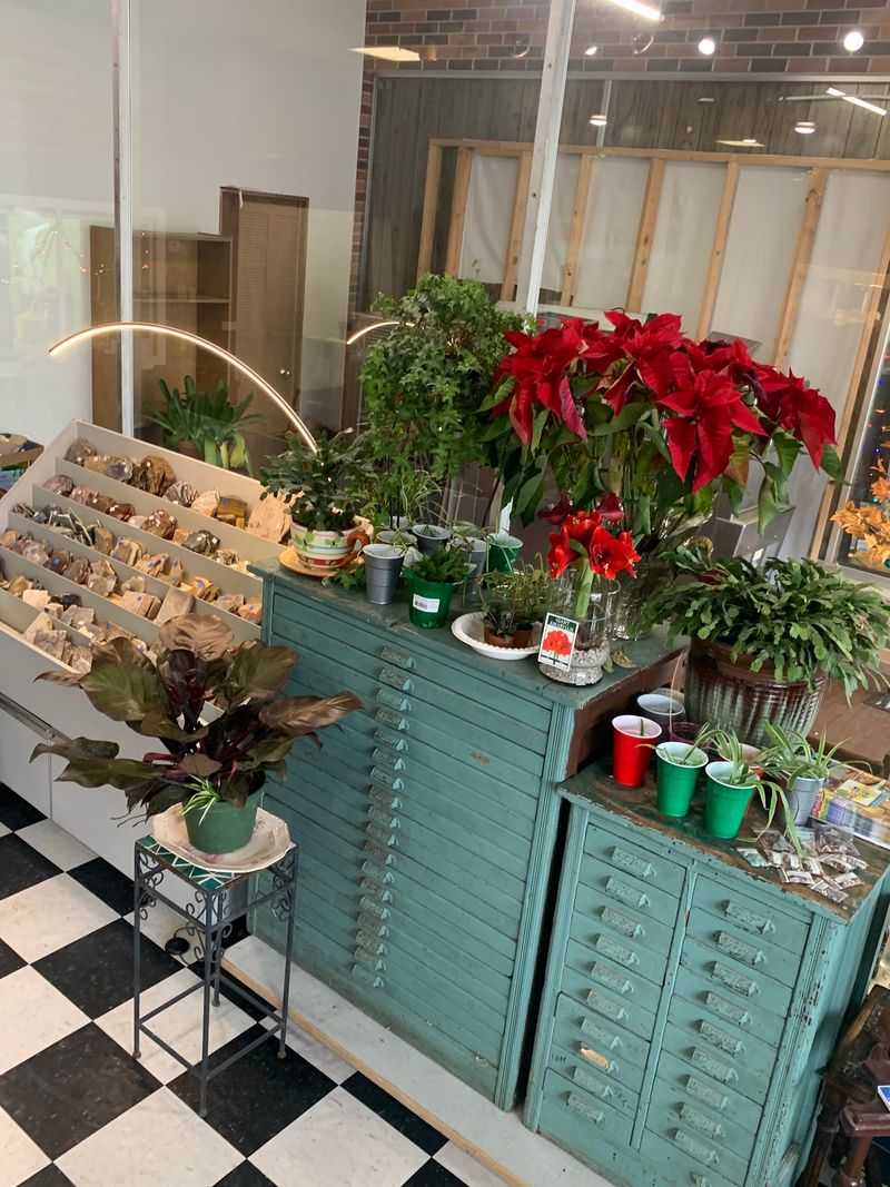 Mature Plants and a Well-Organized Floor