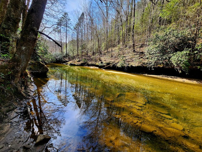 This Quirky Kentucky Community Has Barely 100 Residents, Endless Trails, Legendary Pizza, And A Lot Of Charm - Decor Hint Paddles, Poles, And Peaceful Water