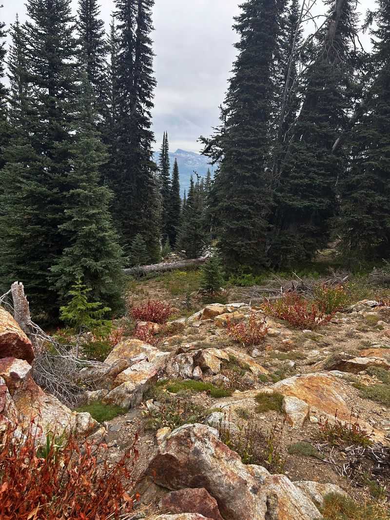 Brundage Mountain, McCall