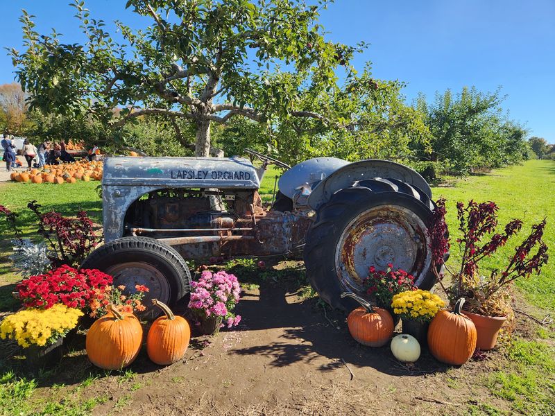 We Compared Connecticut Pumpkin Patches And Here Are 9 That Stand Out - Decor Hint Lapsley Orchards, Pomfret Center
