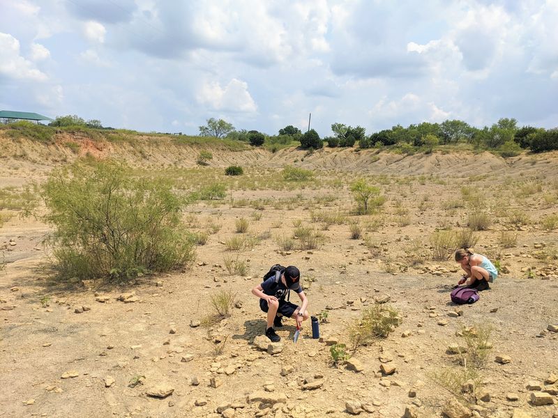 Search For 300-Million-Year-Old Fossils At This Incredible Texas Park, And Take Home What You Find - Decor Hint A Free Ticket To The Ancient Past