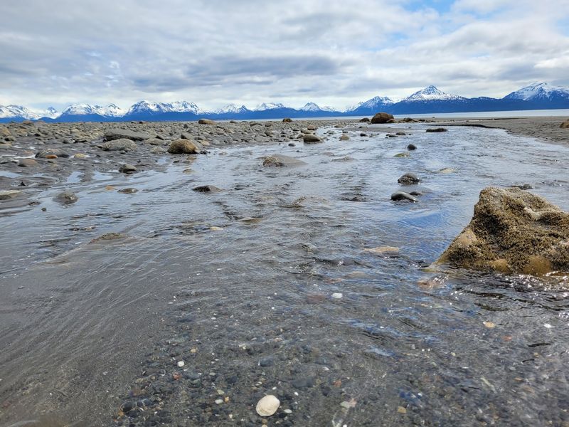 Most Visitors Avoid This Alaska Beach In Fall, But Locals Know It's Perfect For Tidepooling - Decor Hint Keep Your Footing