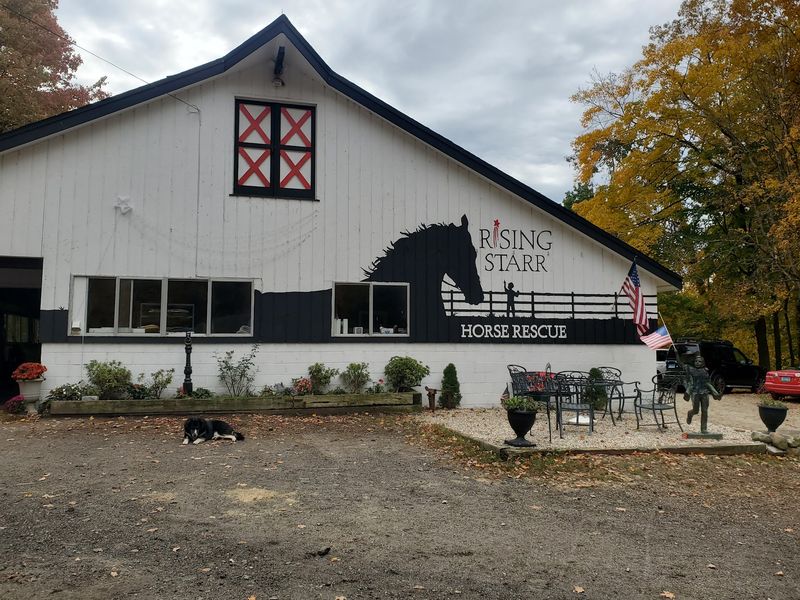 Silver Spring Road Leads To Its Sprawling Farm