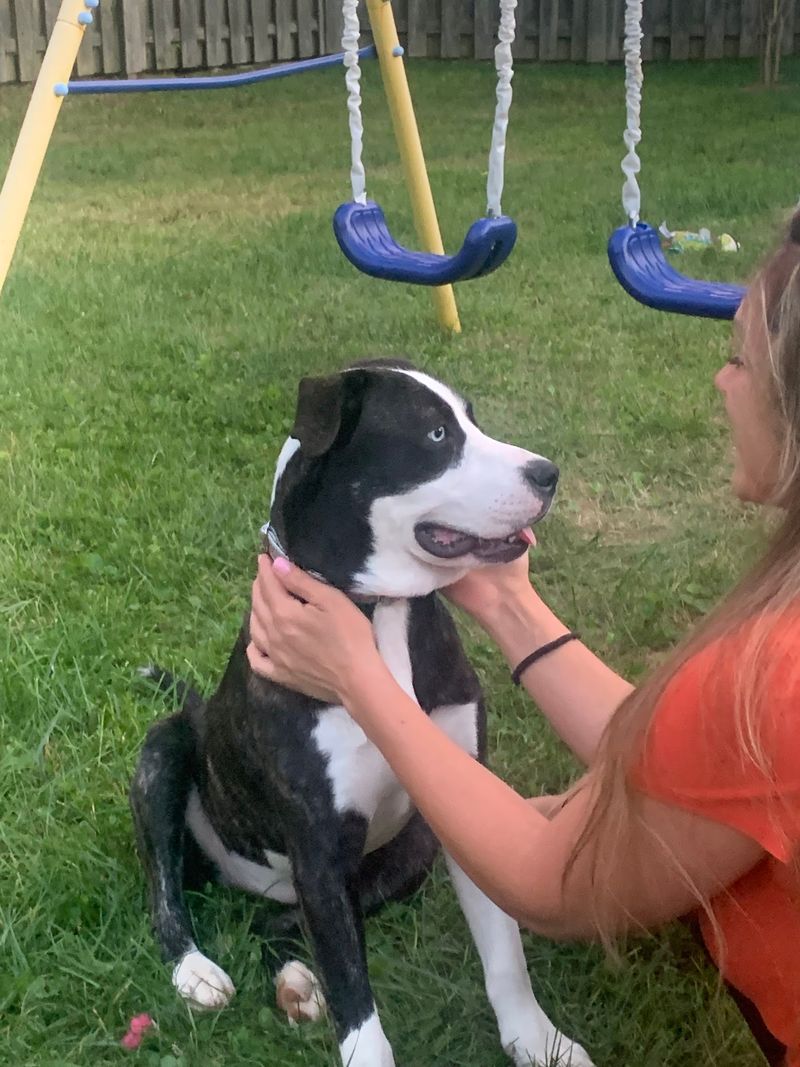 Lexington Humane Society