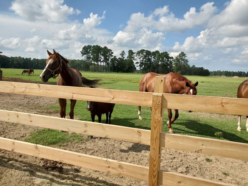 Return Year-Round As Your Riding Skills Improve