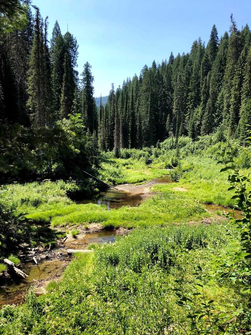 Follow The Trail Into A Forgotten 1920s Logging Camp