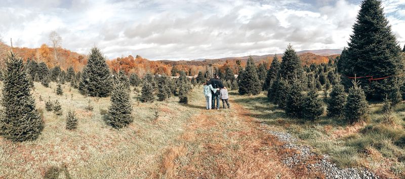 This Tiny North Carolina Mountain Town Sits Above 3,000 Feet And Turns Gorgeous Every Fall - Decor Hint Follow Quiet Mountain Roads Wrapped In Red And Gold