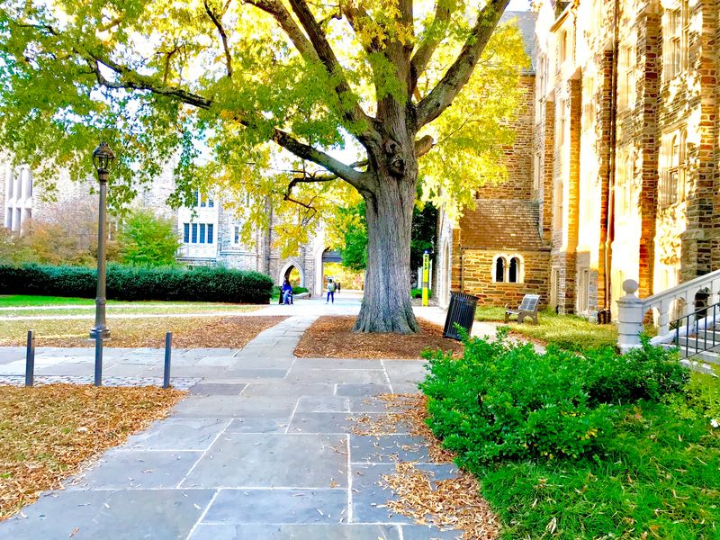 Walk The Leafy Trails And Gardens Around The University