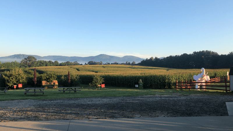 This North Carolina Apple Orchard Goes All Out For Fall With Pumpkins, Hot Donuts And Fresh Cider - Decor Hint Why This Mountain Farm Feels Like Fall Packed Into One Afternoon