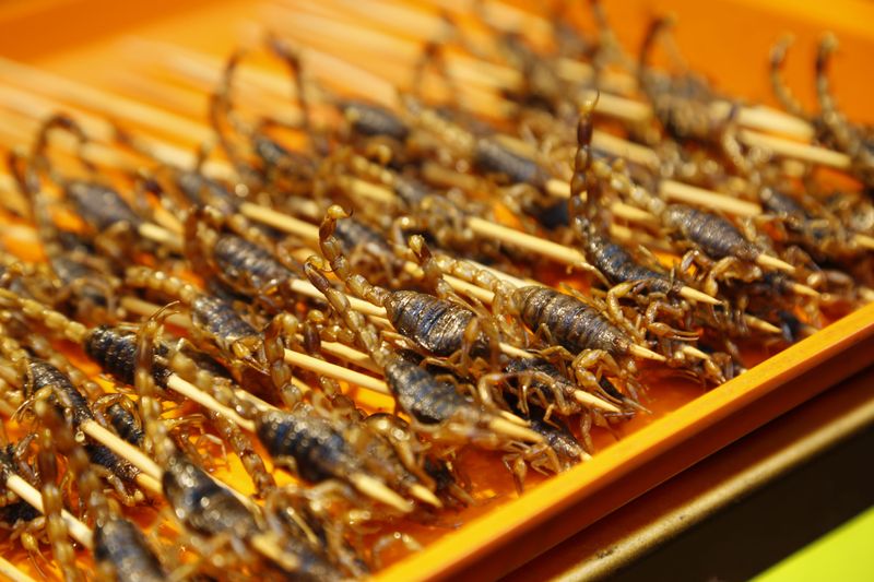Café Insecta Might Be The Strangest Food Stop You Make All Year