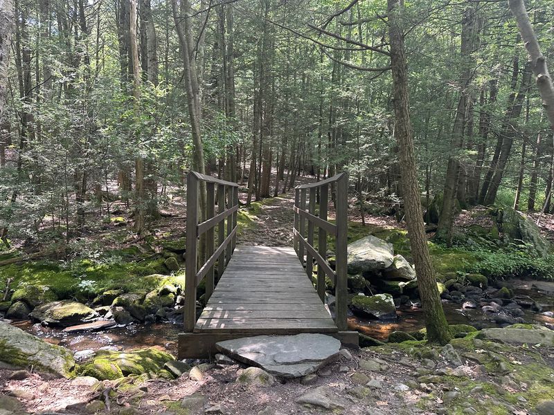 Roaring Brook Nature Center, Canton