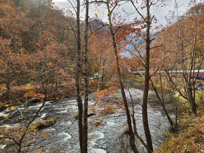 This 4.5-Hour North Carolina Train Ride Might Be The Most Unforgettable Way To See Fall - Decor Hint Cross The Fontana Trestle With Sweeping Water Views Below