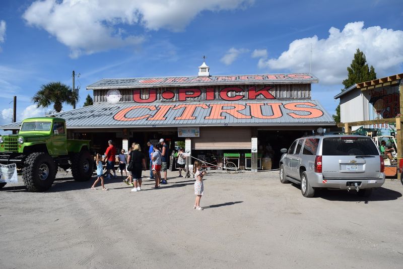 Showcase of Citrus, Clermont