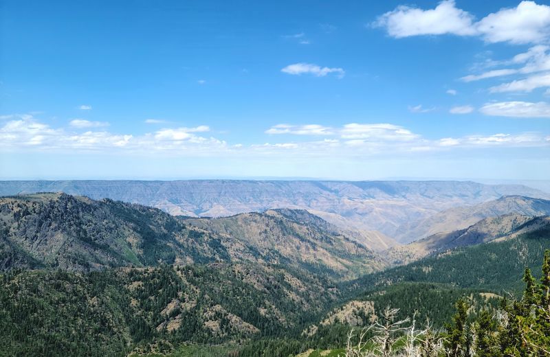 Eight Thousand Feet Straight Down