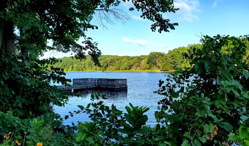 Independence Oaks County Park