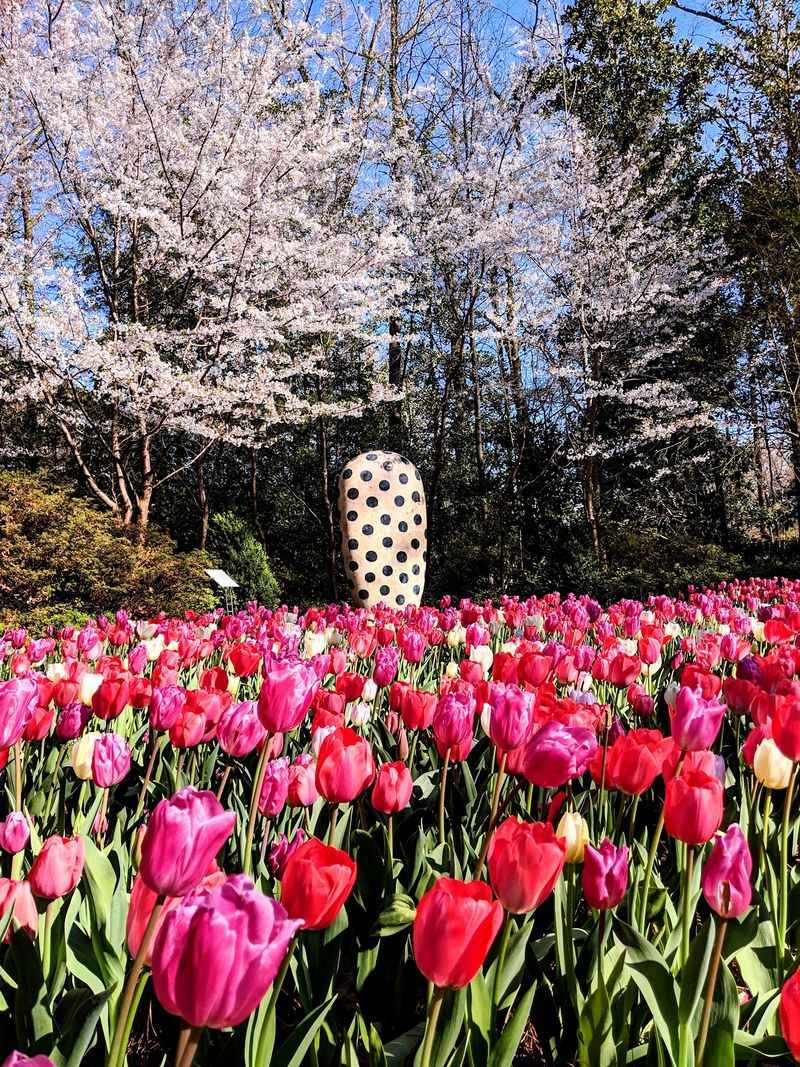 Four Seasons, Four Different Visits