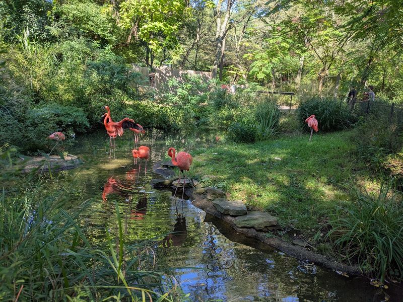 Conservation Work With Global Reach