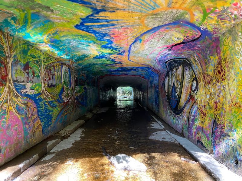 Through The Tunnel Downstream
