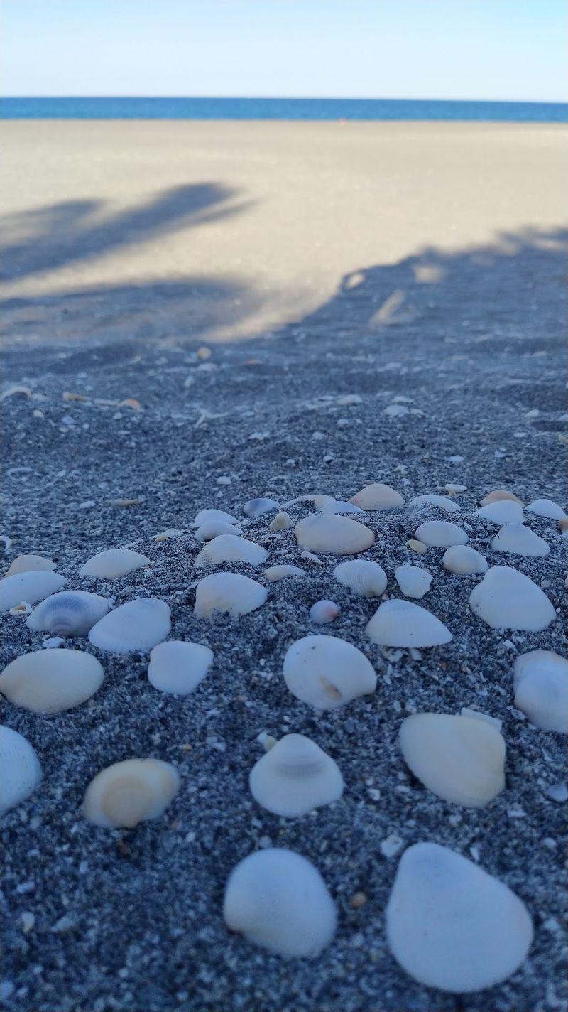 Carlin Park, Jupiter