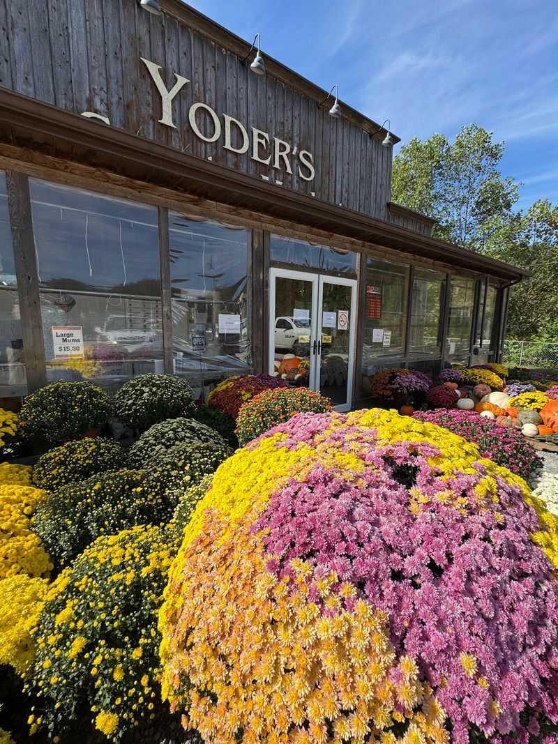 Yoder's Country Market