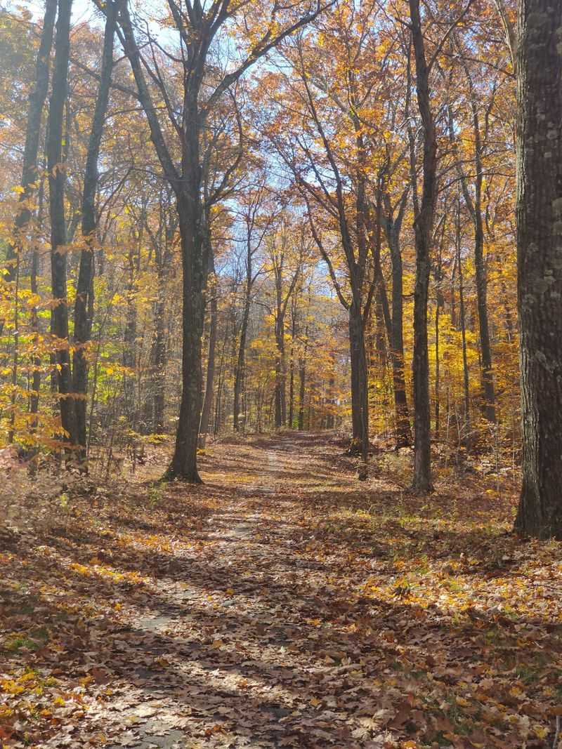 Penwood State Park, Bloomfield