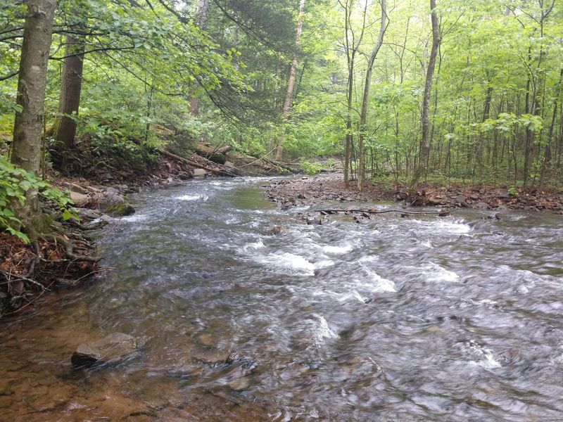 Hone Quarry Campground, Dayton
